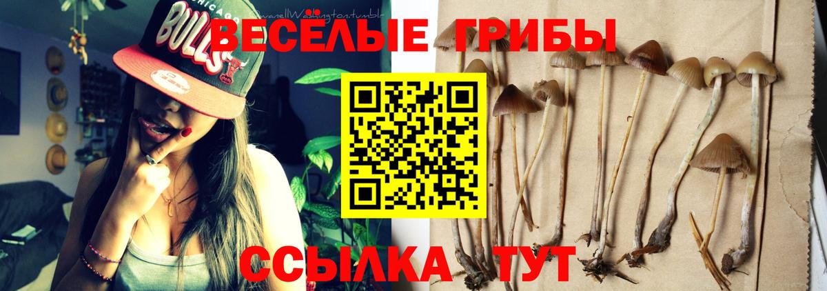 Когалым  Галлюциногенные грибы GOLDEN TEACHER  Вход с VPN 